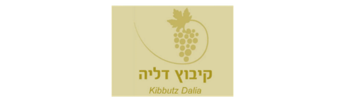 עיצוב ללא שם (43)